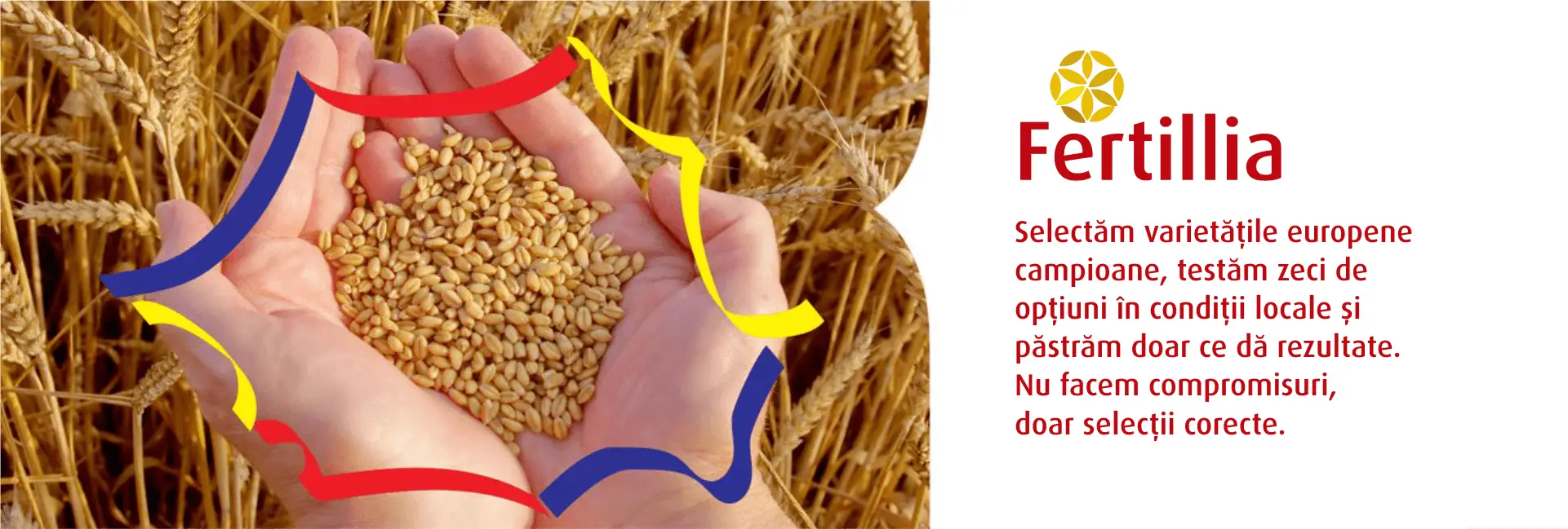 Fertillia: Selectăm varietățile europene campioane, testăm zeci de opțiuni în condiții locale și păstrăm doar ce dă rezultate. Nu facem compromisuri, doar selecții corecte.