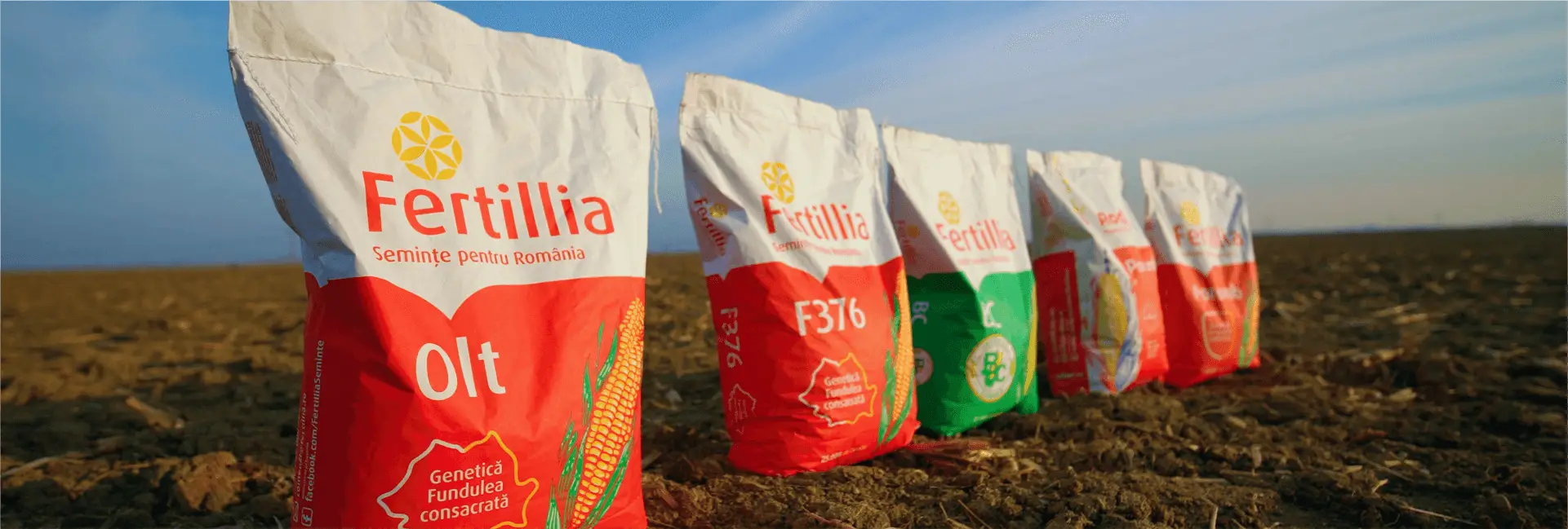 Saci Fertillia cu semințe de porumb și alte culturi, pe un câmp agricol din România.