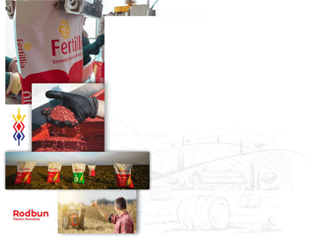Colaj cu procese Fertillia – ambalare, tratare semințe, produse pe câmp și fermier mulțumit, parte din Rodbun Grup.