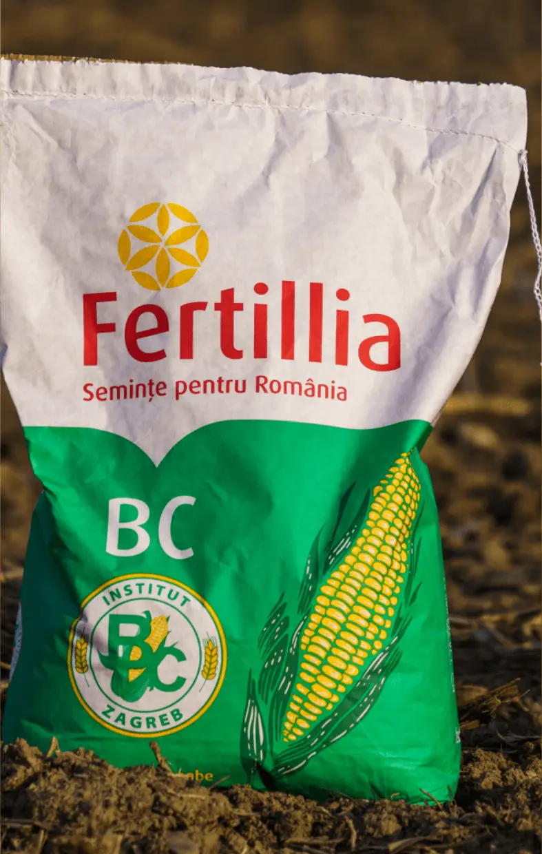 Sac Fertillia cu hibrid de porumb BC, destinat fermierilor din România, rezultat din colaborarea cu Institutul BC Zagreb.